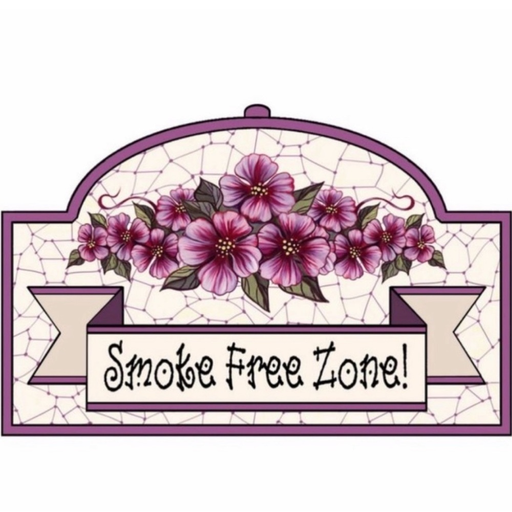 ZARA Blouse Pink Short Bell Sleeve Lace Crop Ribbed Round Neck Sheer Top… - Picture 12 of 15